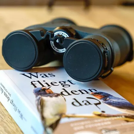 מלון Baumhaus Kleiber *