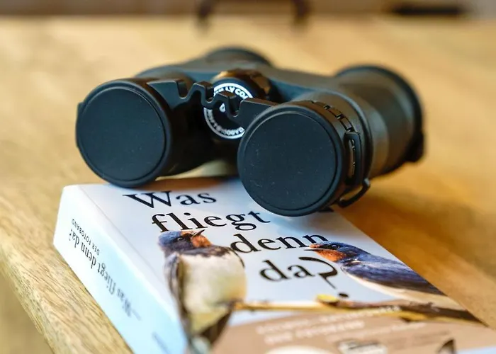 Hotel Baumhaus Kleiber *